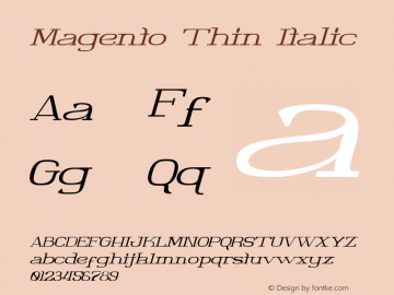 Magento-ThinItalic Version 1.000 Font Sample