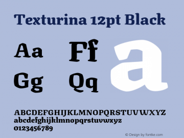 Texturina 12pt Black Version 1.003图片样张