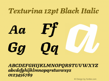 Texturina 12pt Black Italic Version 1.003图片样张