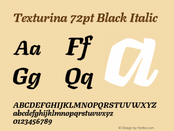 Texturina 72pt Black Italic Version 1.003图片样张