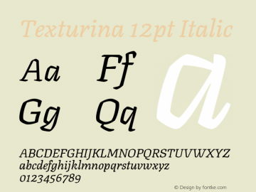 Texturina 12pt Italic Version 1.003; ttfautohint (v1.8.3)图片样张