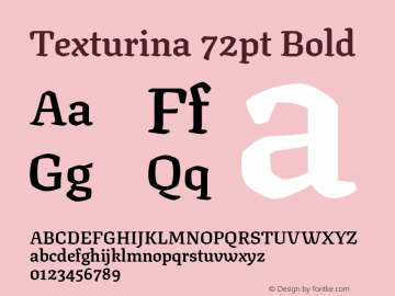 Texturina 72pt Bold Version 1.003; ttfautohint (v1.8.3) Font Sample