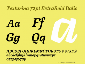 Texturina 72pt ExtraBold Italic Version 1.003; ttfautohint (v1.8.3)图片样张