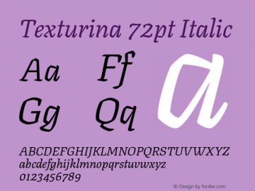 Texturina 72pt Italic Version 1.003; ttfautohint (v1.8.3)图片样张
