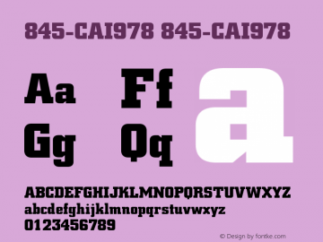 845-CAI978 845-CAI978 Version 3.0 Font Sample