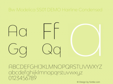 Bw Modelica SS01 DEMO Hairline Condensed Version 2.000;PS 002.000;hotconv 1.0.88;makeotf.lib2.5.64775 Font Sample