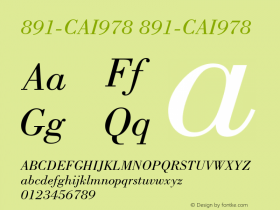 891-CAI978 891-CAI978 891-CAI978 Font Sample