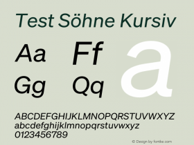 Test Söhne Kursiv Version 1.108;hotconv 1.0.116;makeotfexe 2.5.65601 Font Sample