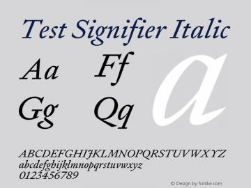 Test Signifier Italic Version 1.004;hotconv 1.0.113;makeotfexe 2.5.65598 Font Sample