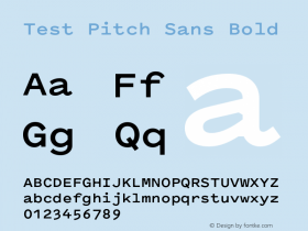 Test Pitch Sans Bold Version 1.001;PS 1.1;hotconv 16.6.51;makeotf.lib2.5.65220图片样张