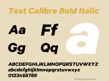 Test Calibre Bold Italic Version 1.005;PS 001.001;hotconv 16.6.54;makeotf.lib2.5.65590 Font Sample