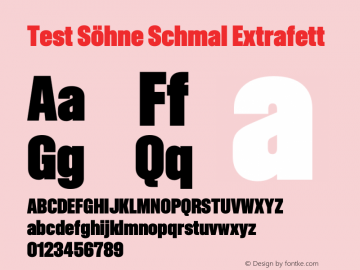 Test Söhne Schmal Extrafett Version 1.108;hotconv 1.0.116;makeotfexe 2.5.65601 Font Sample