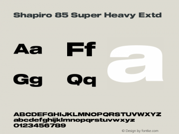 Shapiro 85 Super Heavy Extd Version 3.001图片样张