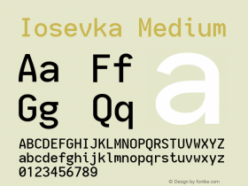 Iosevka Medium 1.13.3; ttfautohint (v1.8.1) Font Sample