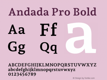 Andada Pro Bold Version 3.003 Font Sample