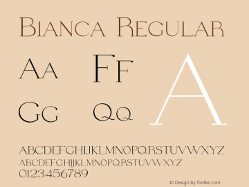 Bianca Version 1.016;Fontself Maker 3.5.4图片样张