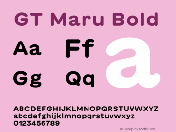 GT Maru Bold Version 2.000;FEAKit 1.0 Font Sample