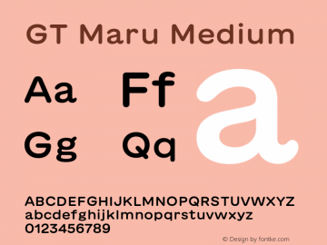 GT Maru Medium Version 2.000;FEAKit 1.0 Font Sample
