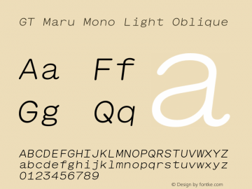 GT Maru Mono Light Oblique Version 2.000;FEAKit 1.0图片样张