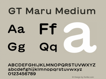 GT Maru Medium Version 2.000图片样张