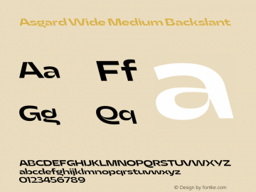 Asgard Wide Medium Backslant Version 2.003;FEAKit 1.0 Font Sample