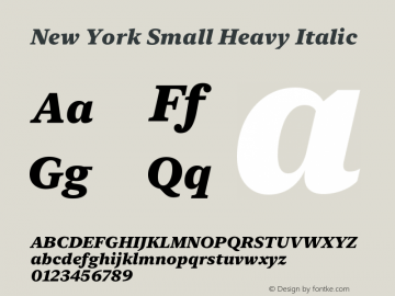 New York Small Heavy Italic Version 16.0d2e2图片样张