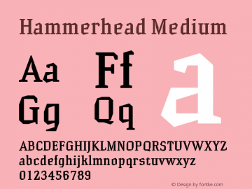 Hammerhead Medium Version 1.000;hotconv 1.0.109;makeotfexe 2.5.65596 Font Sample