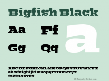 Bigfish Black Version 1.000图片样张