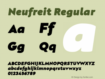 Neufreit Heavy Italic Version 1.00图片样张