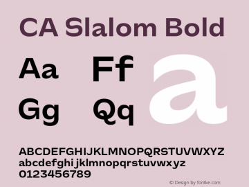 CA Slalom Bold Version 1.041;hotconv 1.0.109;makeotfexe 2.5.65596 Font Sample