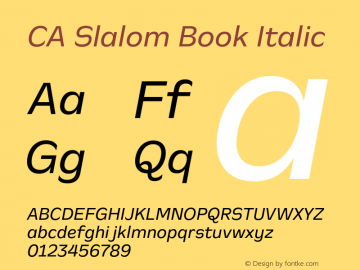 CA Slalom Book Italic Version 1.041;hotconv 1.0.109;makeotfexe 2.5.65596 Font Sample