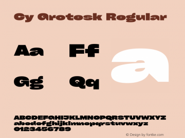 Cy Grotesk Grand Dark Version 1.01图片样张