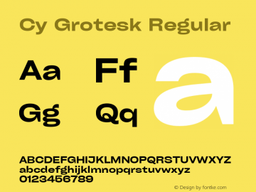 Cy Grotesk Wide Demi Version 1.01图片样张