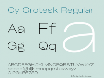 Cy Grotesk Wide Thin Version 1.01图片样张