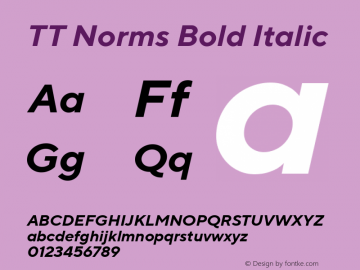 TT Norms Bold Italic Version 1.000 Font Sample