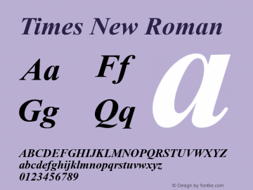 Times New Roman  MS core font:V2.00图片样张