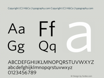 Copyright (C) H&Co | typography.com Version 2.301图片样张