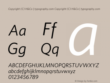 Copyright (C) H&Co | typography.com Version 2.301图片样张
