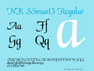 NK SSmart3 Version 1.003 2014 Font Sample