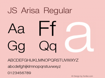 JSArisa Version 2.000 2005 initial release图片样张