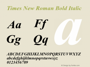 Times New Roman Bold Italic MS core font:V2.00图片样张