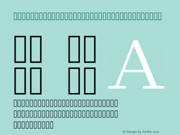 SourceHanSerifCN Regular-Alphabetic Version 1.0图片样张