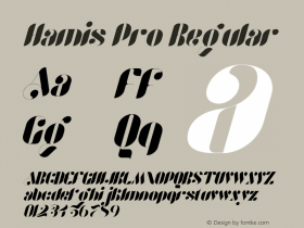 Hamis Pro Italic Version 1.00图片样张