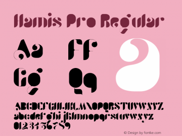 Hamis Pro Regular Solid Version 1.00图片样张