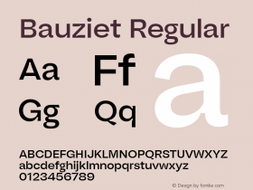 Bauziet Norm Medium Version 1.00 Font Sample