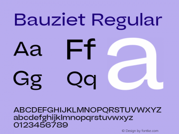 Bauziet Wide Regular Version 1.00图片样张