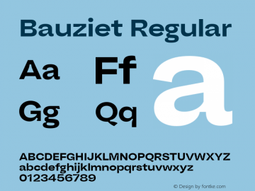 Bauziet Wide Bold Version 1.00 Font Sample