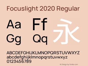 Focuslight 2020 Regular Version 1.1图片样张