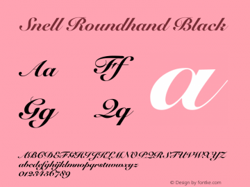 Snell Roundhand Black 15.0d1e1 Font Sample