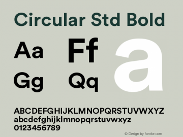 Circular Std Bold Version 1.001; build 0002图片样张